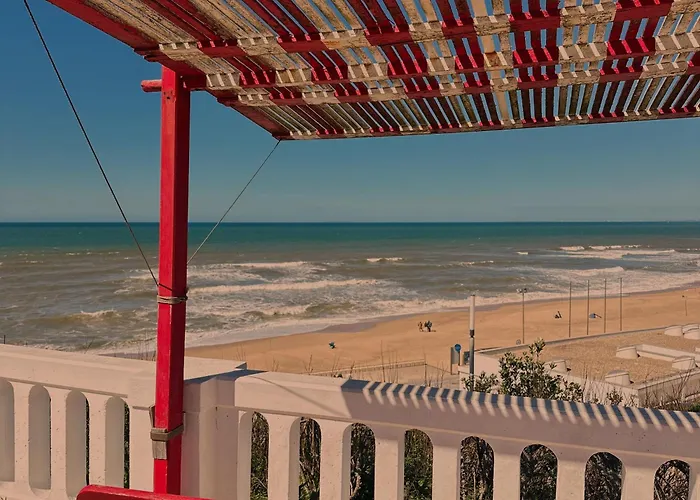 The Wild Ocean * Santa Cruz (Oeste)